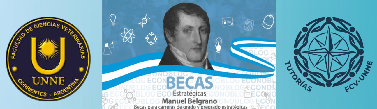 portada becas begrano
